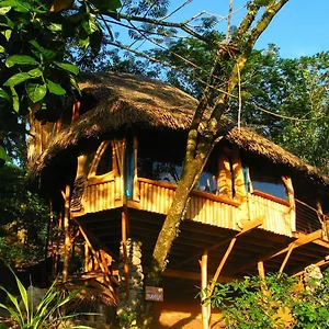 https://vanira-lodge.frenchpolynesia-hotels.com